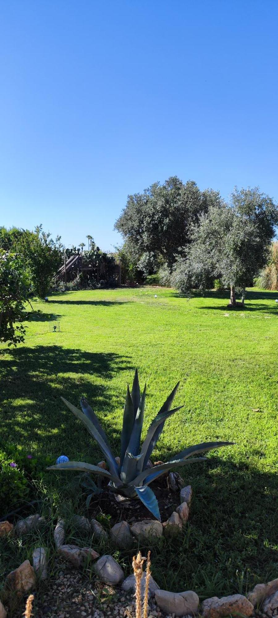 Villa Giummarito B&B Scicli Exterior photo